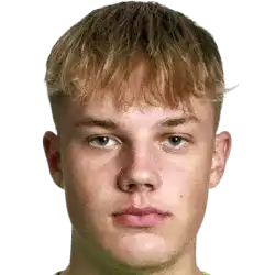 罗德里戈·维托尔斯头像