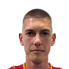 阿莱克萨·卡拉季奇头像