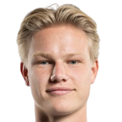 亚历山大·莱昂·范德佩尔头像