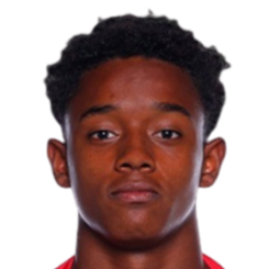 布鲁尼尼奥头像