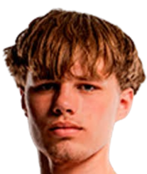 拉德克维奇头像