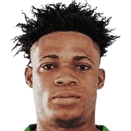 罗德里格·法西努头像