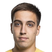 弗拉迪斯拉夫·卡利尼切夫头像