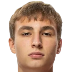 尼基塔·马萨利加头像