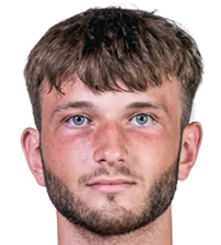 丹尼尔·西斯拉头像