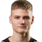 米切维修斯头像