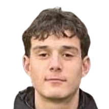 路易斯·马里努奇头像