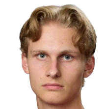 埃尔顿·赫德斯特罗姆头像