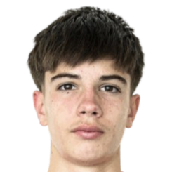 蒂亚戈·罗查·罗德里格斯头像