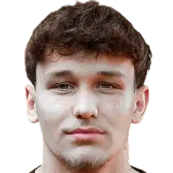 亚历克斯·尼佐莱克头像