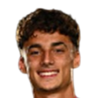 亚历山德罗·内纳头像