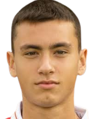 阿莱克萨·达姆贾诺维奇头像