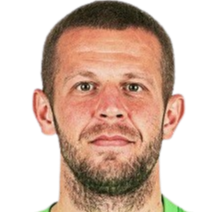 丹尼斯·瓦夫罗头像