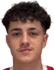 巴尔布列斯库头像