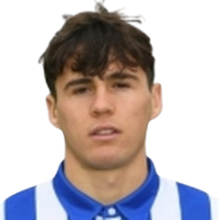 特恩·威尔克头像