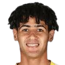 维萨姆·阿里头像