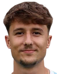 达米扬·多尔丹头像