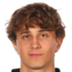 维克多·埃克斯特罗姆头像