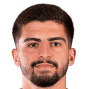 伊戈尔·米拉迪诺维奇头像