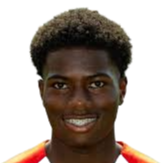 基亚尼·英格头像