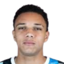 维埃里·费尔南德斯头像