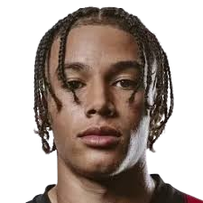 雷米·里斯-多廷头像