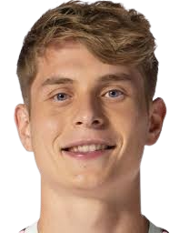 安东·海因茨头像