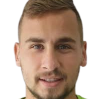 桑德罗·祖基奇头像