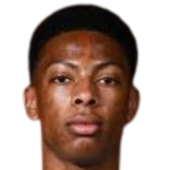 内贝·西拉克·多米尼克头像