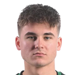 斯泽拉莫夫斯基头像