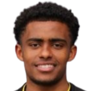 伊尔加-阿莱姆头像