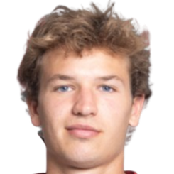 卢卡斯·威伦头像