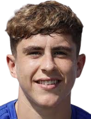 芬利·罗伯逊头像