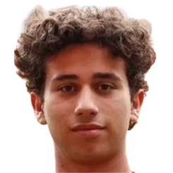 图纳·巴兰·德米尔头像