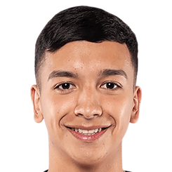 托马斯·阿维莱斯头像