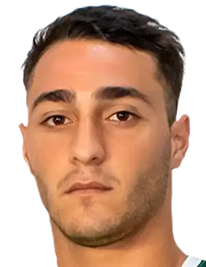 法布里西奥·桑吉内蒂头像