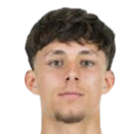 奥托·埃默森·斯坦奇头像