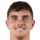 诺兰·比奈头像