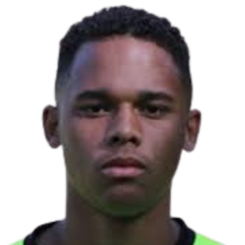 莱安德罗·梅伦西亚头像