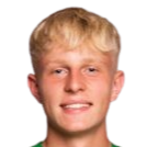 巴托斯·西瓦拉头像