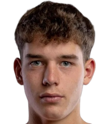 托马斯·杰利内克头像