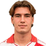 尼科洛·拉达埃利头像