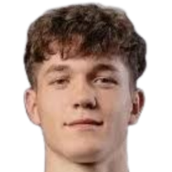 尼古拉·罗塔鲁头像