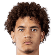 埃弗顿·佩雷拉头像