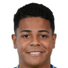 韦斯利·加索瓦·里贝罗·特谢拉头像