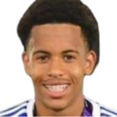 路易斯·佩奇头像