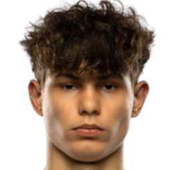 亚历山大·维加诺夫斯基头像