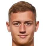 卡洛·卢萨维克头像