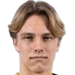 埃利亚斯·塞德布拉德头像