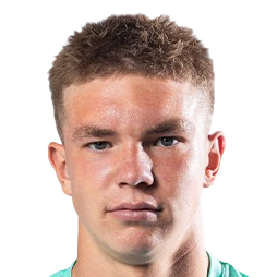 叶戈尔·古利亚耶夫头像